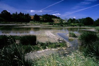 13820__68_m_1.jpg
