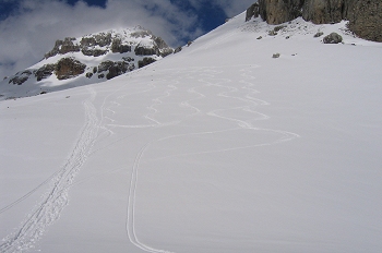 5976__10_m_1.jpg